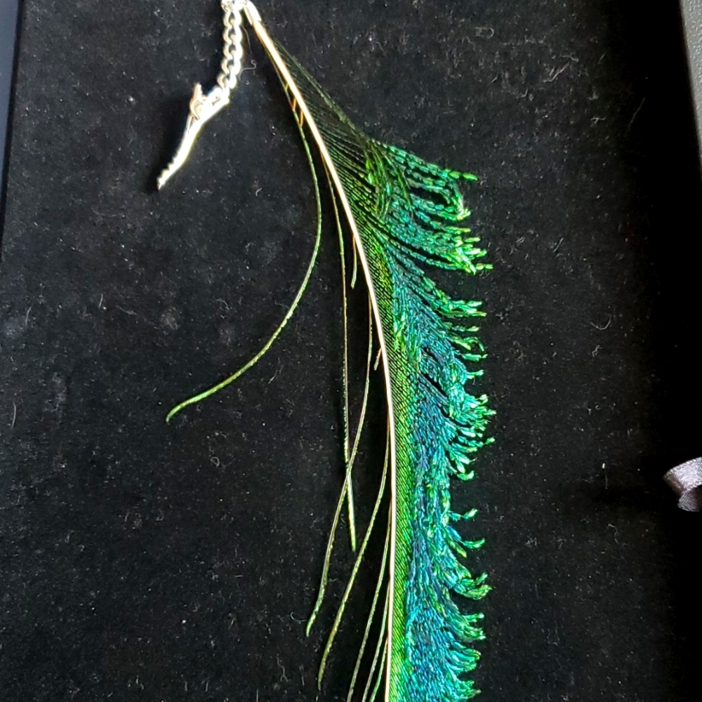 Teenager's feather 🪶 clip.